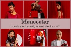 Monocolor Lightroom Presets Desktop Product Image 11