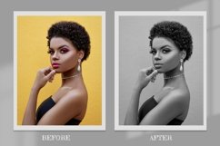 Monocolor Lightroom Presets Desktop Product Image 8