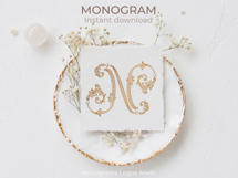 N Monogram Logo, Elegant Initial Monogram Product Image 2