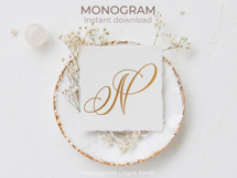 N Monogram Logo, Elegant Initial Monogram Product Image 2