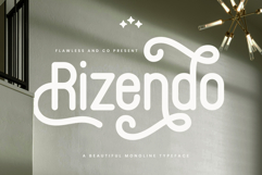 Rizendo Product Image 1