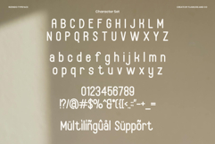Rizendo Product Image 10
