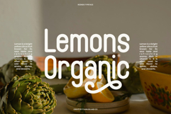 Rizendo Product Image 4