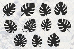 Monstera Leaves Collection SVG Product Image 1