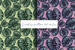 Monstera patterns Product Image 1