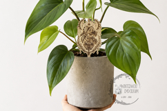 Gothic Plant Stake - Monstera - SVG PNG Laser Cut - Garden Product Image 4
