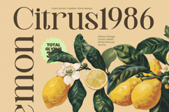 Montague Westfield - Serif Vintage Product Image 11