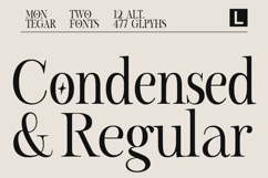Montegar a Elegant Celestial Serif Product Image 7