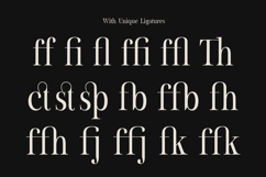 Montegar a Elegant Celestial Serif Product Image 10