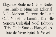 Montegar a Elegant Celestial Serif Product Image 14