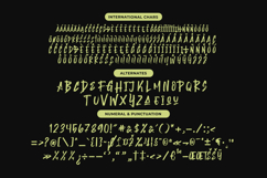 Montha Stroner Display Brush Font Product Image 13
