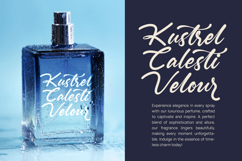 Monthly Raine - Bold Calligraphy Font Product Image 9