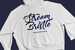 Monthly Raine - Bold Calligraphy Font Product Image 12