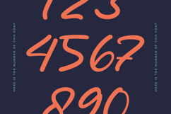 Monthly Raine - Bold Calligraphy Font Product Image 14