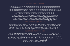 Monthly Raine - Bold Calligraphy Font Product Image 18