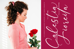 Montise Natasha - Stylish Handwritten Font Product Image 4