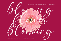 Montise Natasha - Stylish Handwritten Font Product Image 9