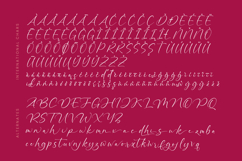 Montise Natasha - Stylish Handwritten Font Product Image 18