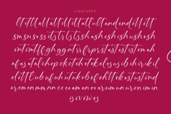 Montise Natasha - Stylish Handwritten Font Product Image 19