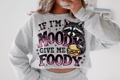 If I'm Moody Give Me Foody PNG, Funny Raccoon PNG, Sarcastic Product Image 2