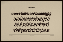 Mooligat | Vintage Script Font Product Image 6
