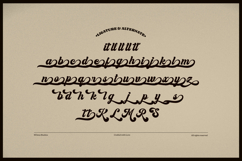 Mooligat | Vintage Script Font Product Image 5