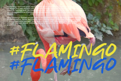 Moon Blade - Bold Modern Brush Script Product Image 6