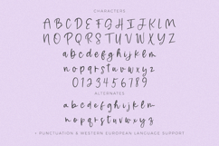 Moonbeam Script Font Product Image 10