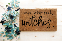 Moonbeam Script Font Product Image 6