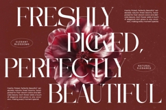 Moonlit Charm - All Caps Serif Display Product Image 12