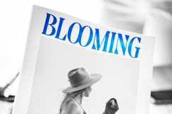 Moonni Zehher - Bold Tall Serif Product Image 2