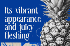 Moonni Zehher - Bold Tall Serif Product Image 3