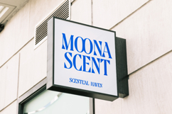 Moonni Zehher - Bold Tall Serif Product Image 4