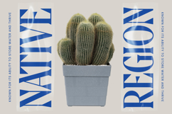 Moonni Zehher - Bold Tall Serif Product Image 6