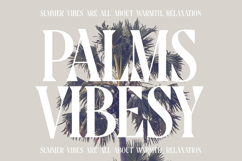 Moonni Zehher - Bold Tall Serif Product Image 14