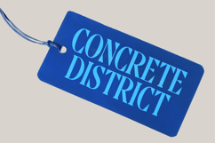 Moonni Zehher - Bold Tall Serif Product Image 16