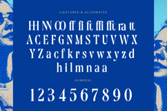 Moonni Zehher - Bold Tall Serif Product Image 18