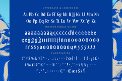Moonni Zehher - Bold Tall Serif Product Image 19