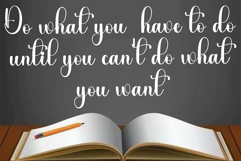 Moonshine Product Image 4