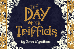 Moonshore - A Magical Folklore and Fantasy Font Product Image 12