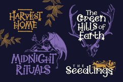 Moonshore - A Magical Folklore and Fantasy Font Product Image 13