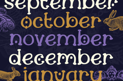 Moonshore - A Magical Folklore and Fantasy Font Product Image 14