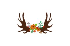 Moose Antler Product Image 1