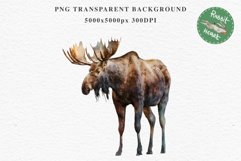 Moose Forest Animals Clipart PNG Scrapbooking Nursery Art Image Watercolor  Transparent Print invitation shirt designs sublimation kids printable digital watercolor Moose floral, scrapbooking clipart, sublimation nursery drawing, forest animals