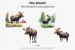 watercolor Moose floral, scrapbooking clipart, sublimation nursery drawing, forest animals Moose Forest Animals Clipart PNG Scrapbooking Nursery Art Image Watercolor  Transparent Print invitation shirt designs sublimation kids printable digital