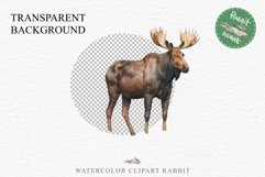 Moose Forest Animals Clipart PNG Scrapbooking Nursery Art Image Watercolor  Transparent Print invitation shirt designs sublimation kids printable digital watercolor Moose floral, scrapbooking clipart, sublimation nursery drawing, forest animals