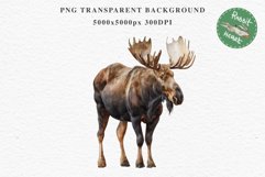 Moose Forest Animals Clipart PNG Scrapbooking Nursery Art Image Watercolor  Transparent Print invitation shirt designs sublimation kids printable digital watercolor Moose floral, scrapbooking clipart, sublimation nursery drawing, forest animals