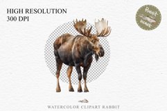 watercolor Moose floral, scrapbooking clipart, sublimation nursery drawing, forest animals Moose Forest Animals Clipart PNG Scrapbooking Nursery Art Image Watercolor  Transparent Print invitation shirt designs sublimation kids printable digital