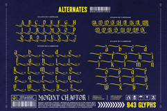 Morant Chastor Typeface Product Image 11