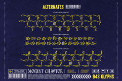 Morant Chastor Typeface Product Image 12